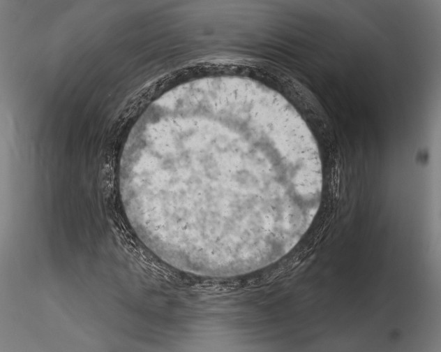 X0000114530821200911301136