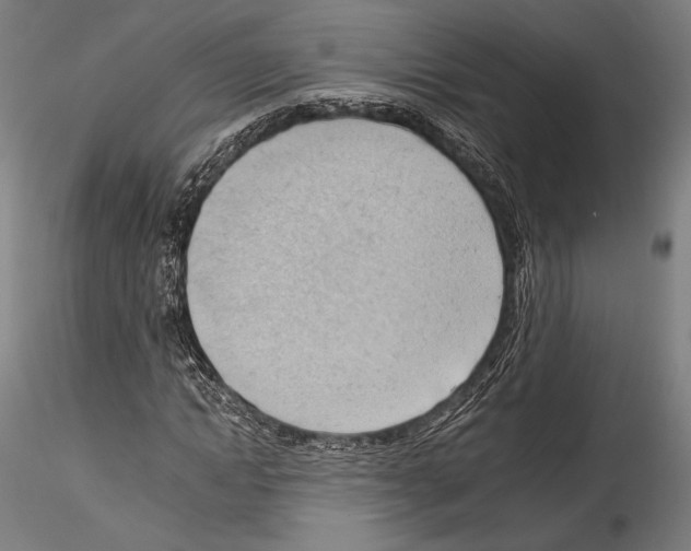 X0000114530822200911301136