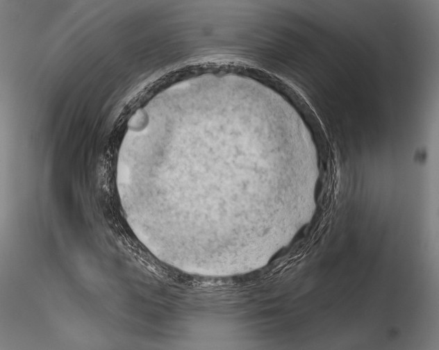 X0000114530823200911301136