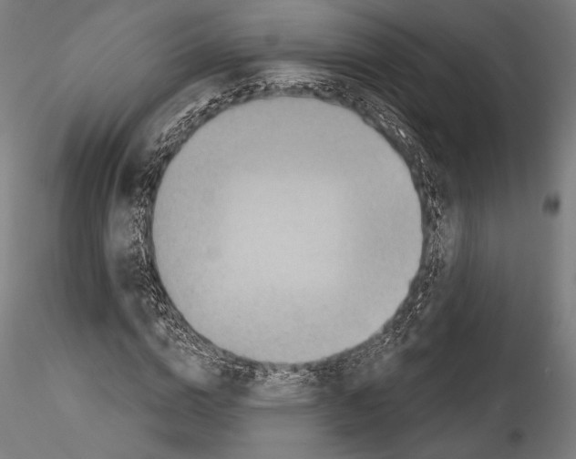 X0000114530824200911301136