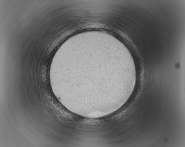 X0000114530825200911301136