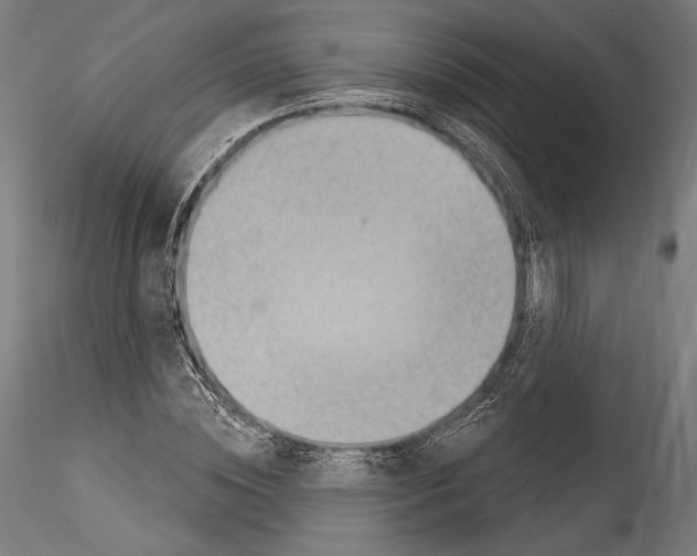 X0000114530828200911301136