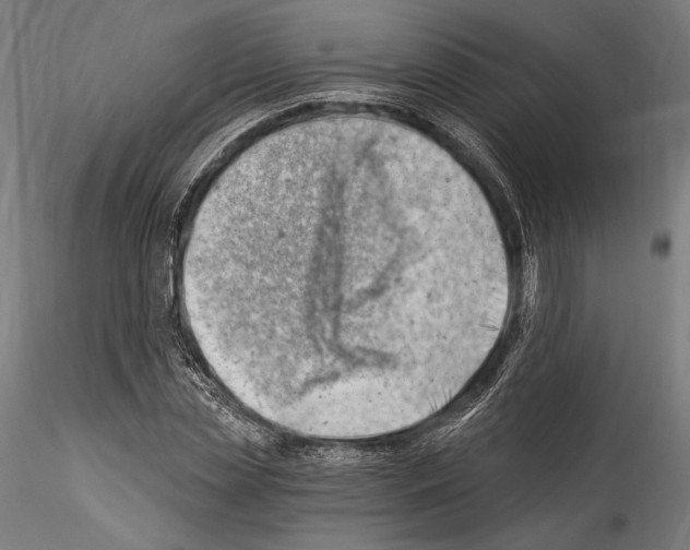 X0000114530829200911301136