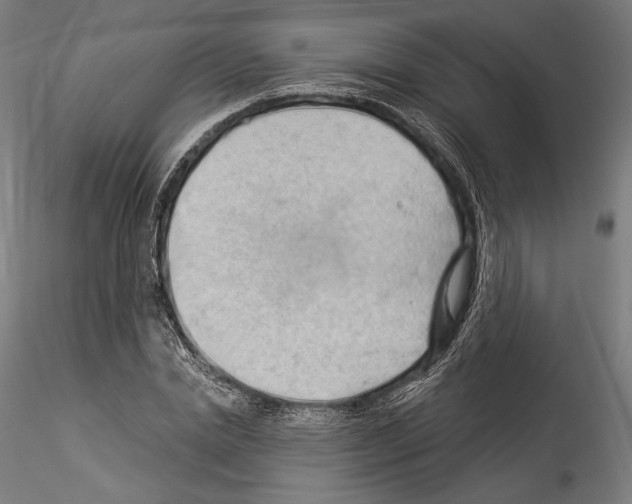 X0000114530830200911301136