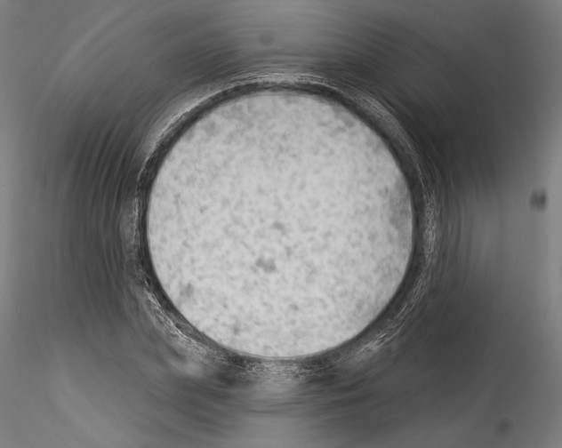 X0000114530831200911301136