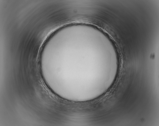 X0000114530832200911301136