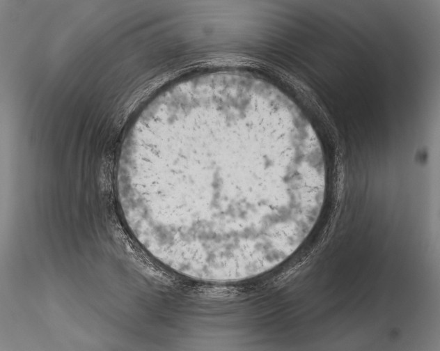 X0000114530833200911301136