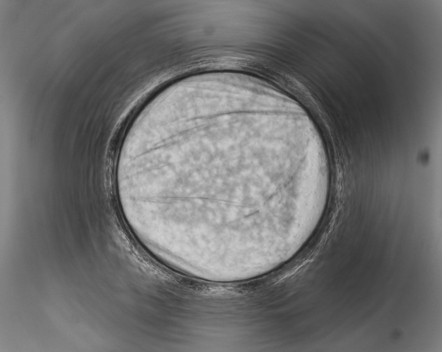 X0000114530835200911301136