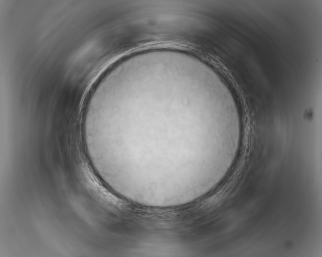 X0000114530836200911301136