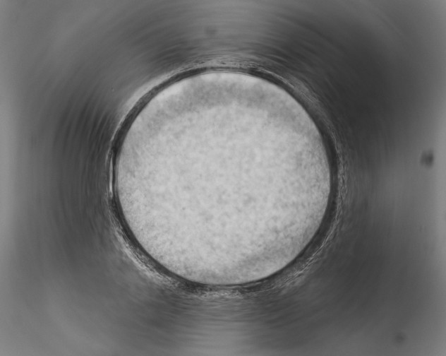 X0000114530838200911301136