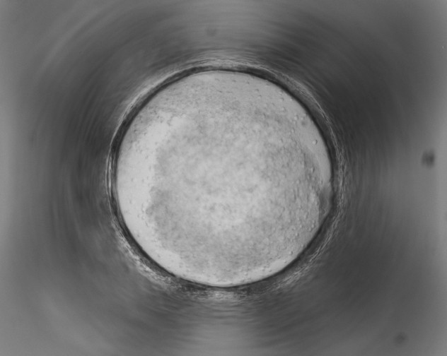 X0000114530839200911301137