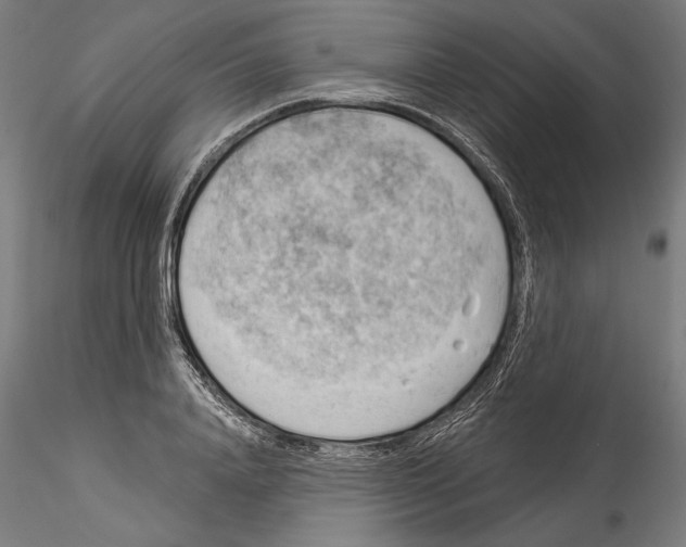 X0000114530840200911301137