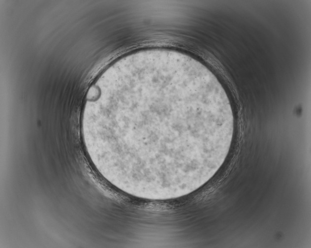 X0000114530842200911301137