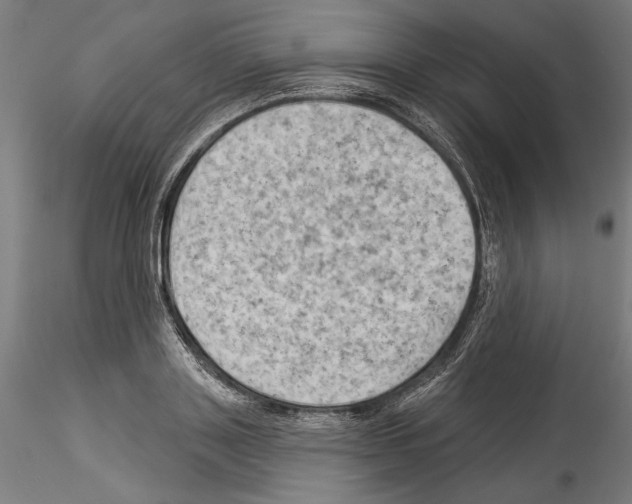 X0000114530843200911301137