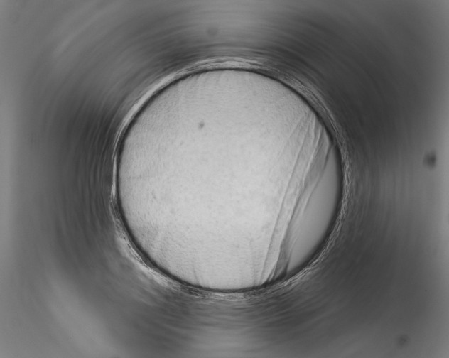 X0000114530844200911301137