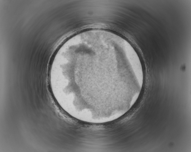 X0000114530845200911301137