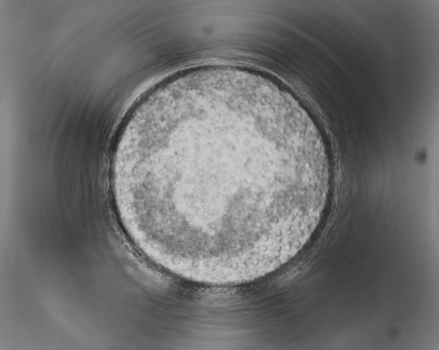 X0000114530846200911301137