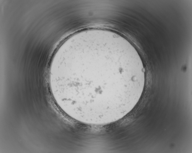 X0000114530848200911301137