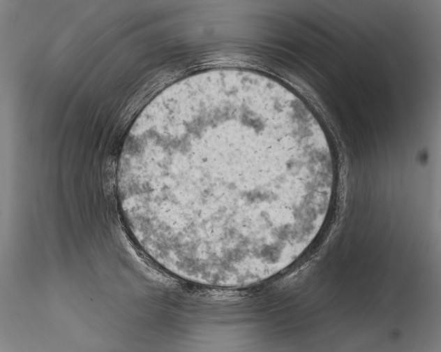 X0000114530849200911301137