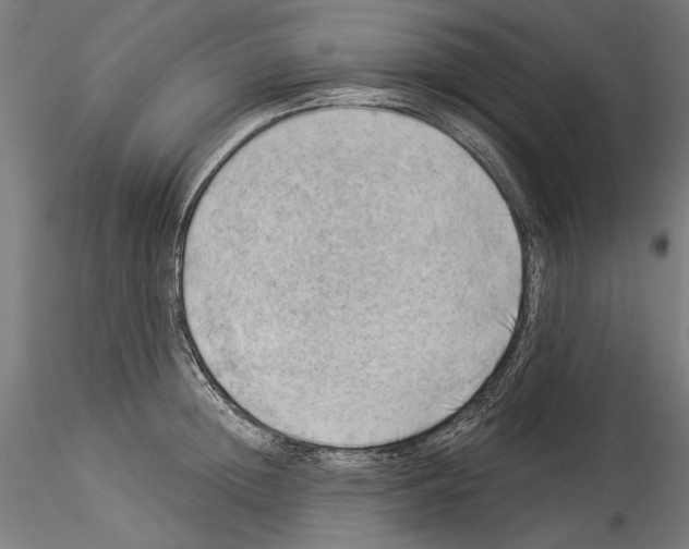 X0000114530852200911301137