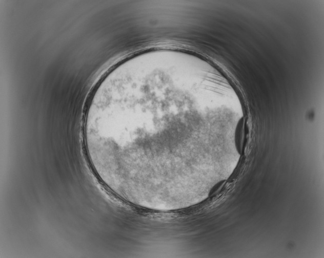 X0000114530853200911301137