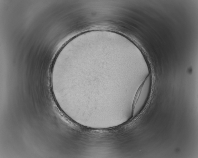 X0000114530854200911301137