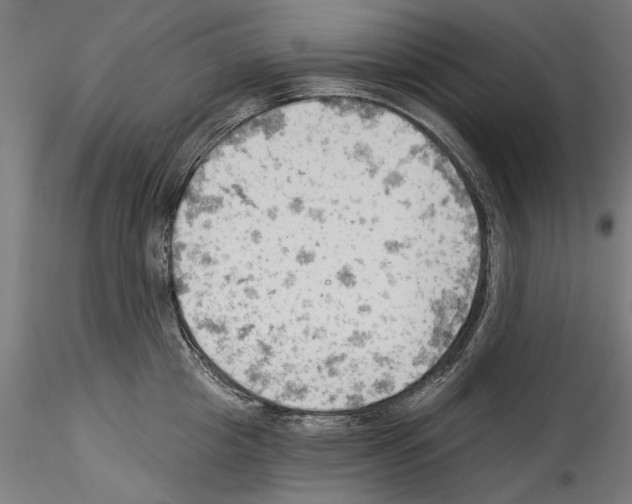 X0000114530857200911301137