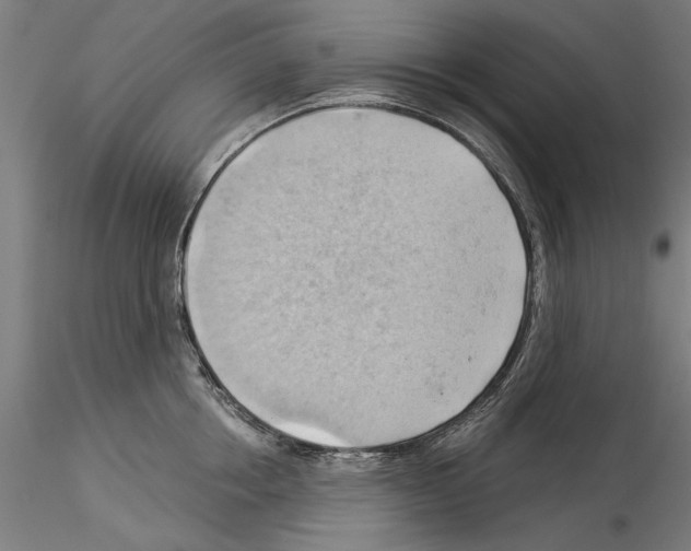 X0000114530858200911301137