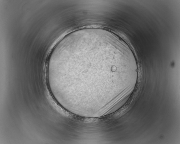 X0000114530859200911301137