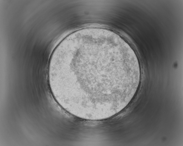 X0000114530860200911301137