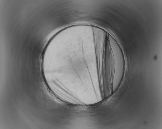 X0000114530862200911301137