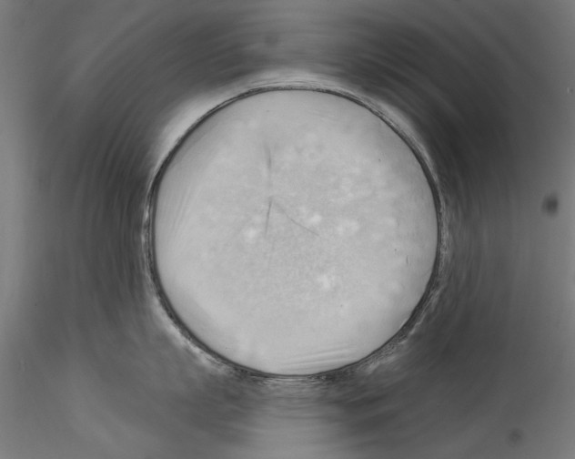 X0000114530863200911301137