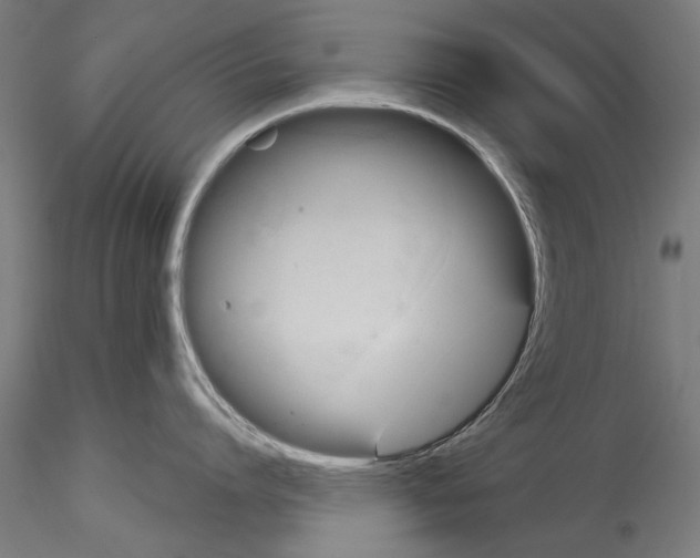 X0000114530864200911301137