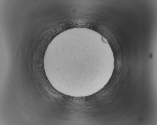 X0000114530865200911301136