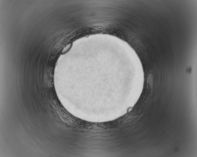 X0000114530868200911301136