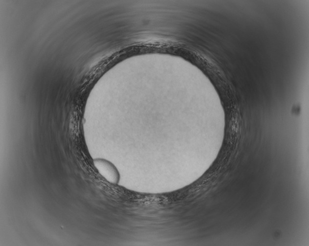 X0000114530869200911301136