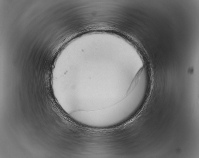 X0000114530873200911301136