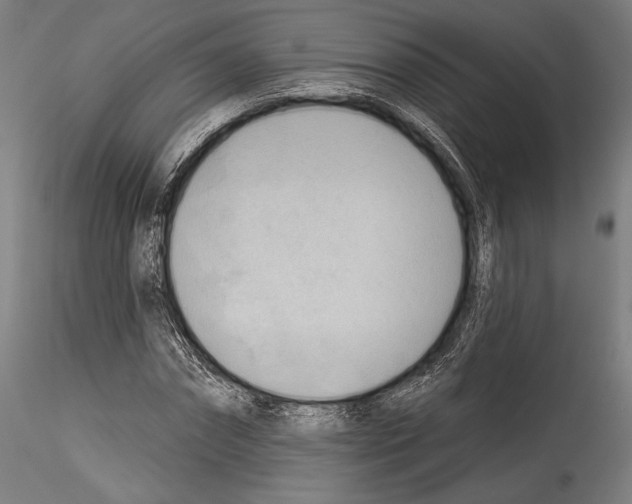 X0000114530874200911301136