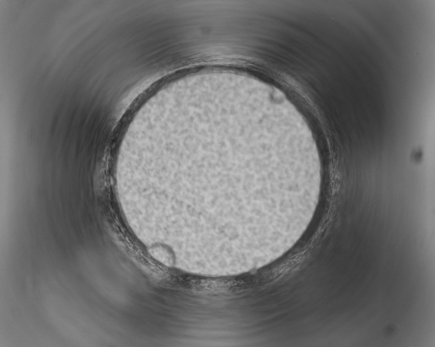 X0000114530875200911301136