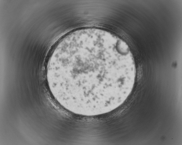 X0000114530876200911301136