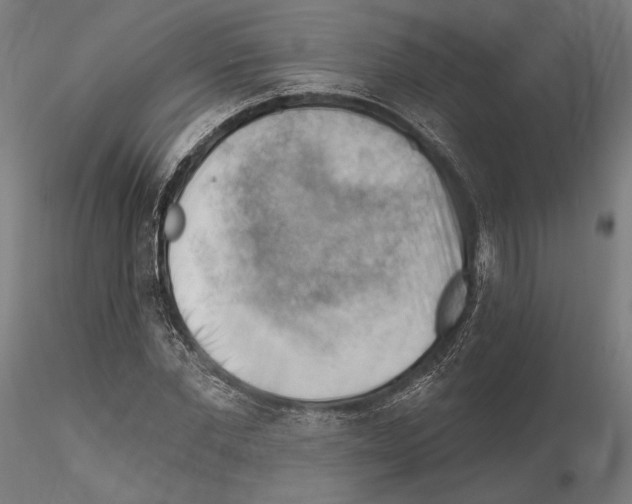 X0000114530877200911301136