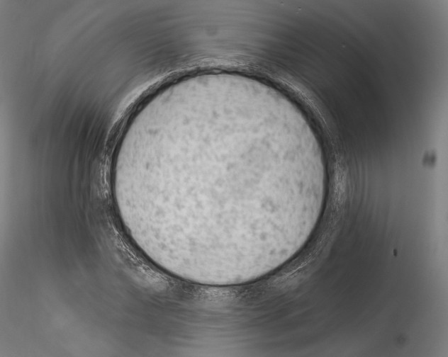 X0000114530878200911301136