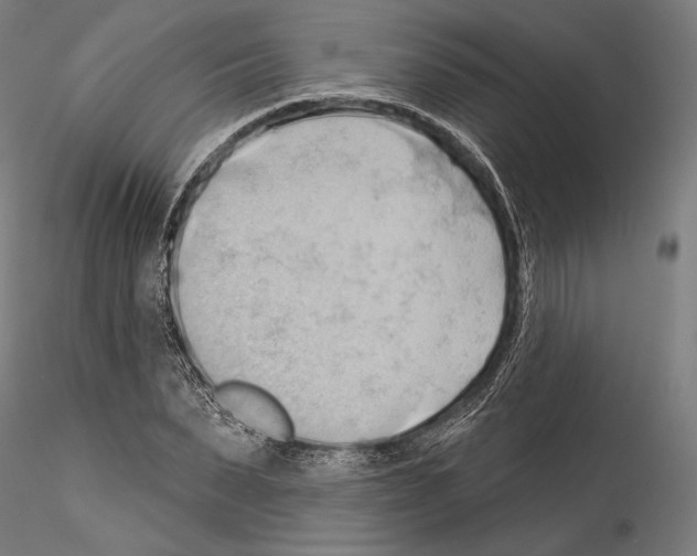 X0000114530879200911301136