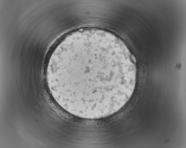 X0000114530880200911301136