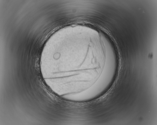 X0000114530881200911301136