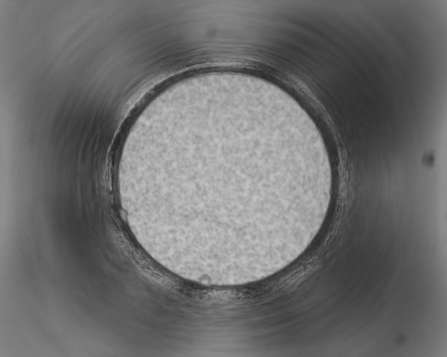 X0000114530883200911301136