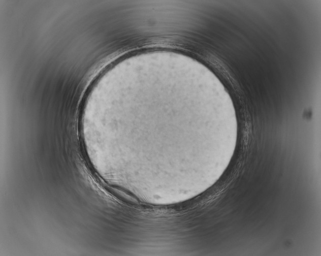 X0000114530884200911301136