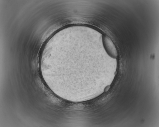 X0000114530885200911301136