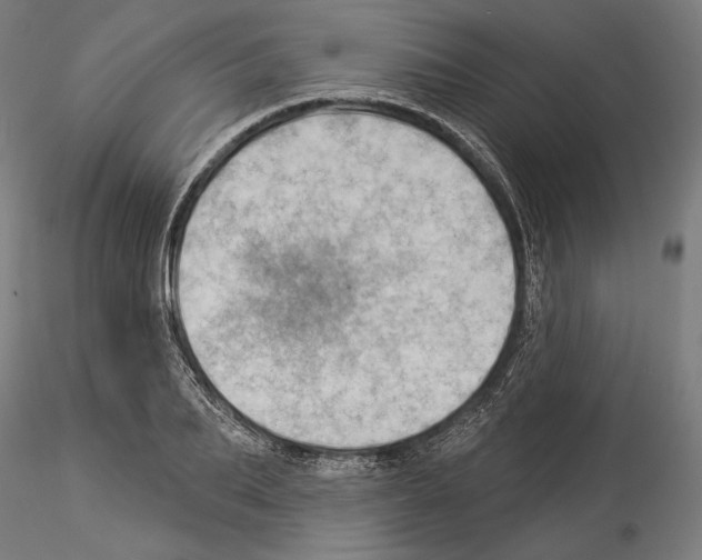 X0000114530887200911301136