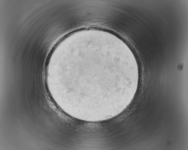 X0000114530888200911301136